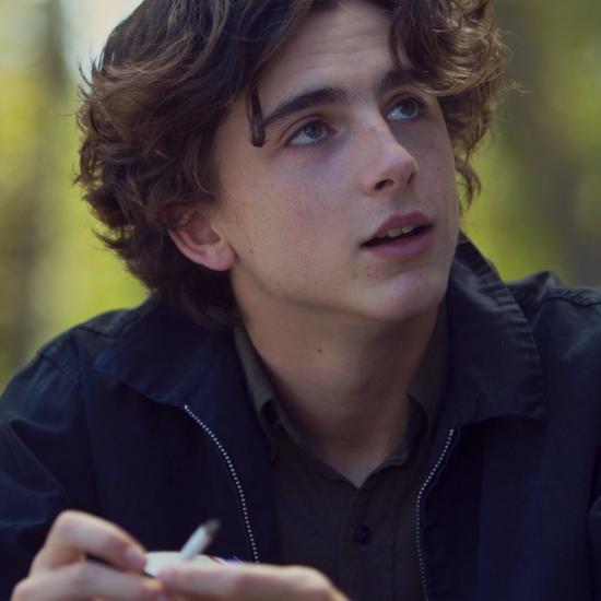 Timothée Chalamet Rumoured To Be Up For A Role In The MCU