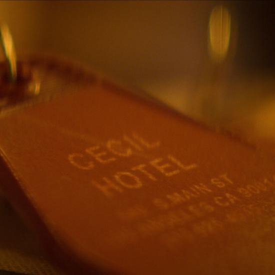 Crime Scene: The Vanishing At The Cecil Hotel: Has Netflix Gone Too Far?