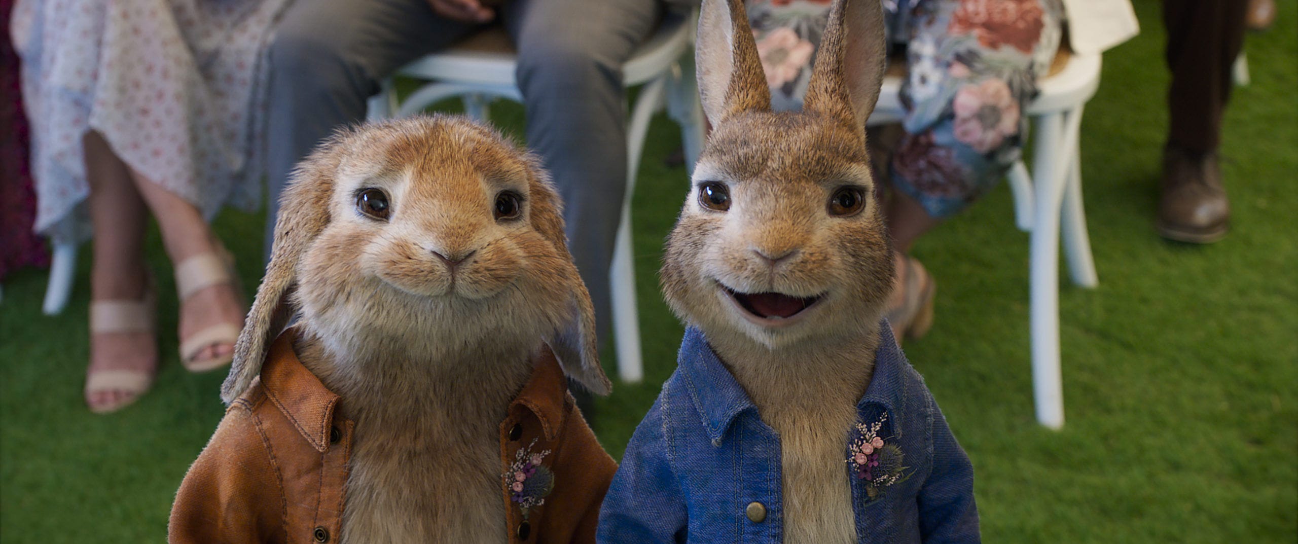 peter-rabbit-2-the-runaway cinemas re-open