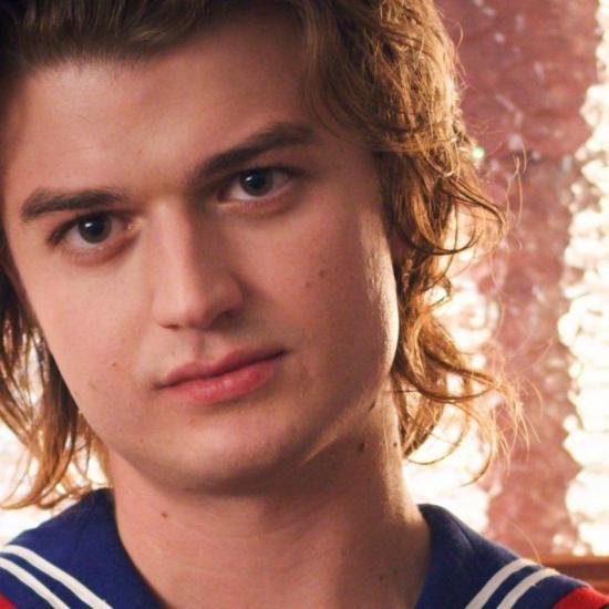 Stranger Things Star Wants To Do A Dustin And Steve Spinoff