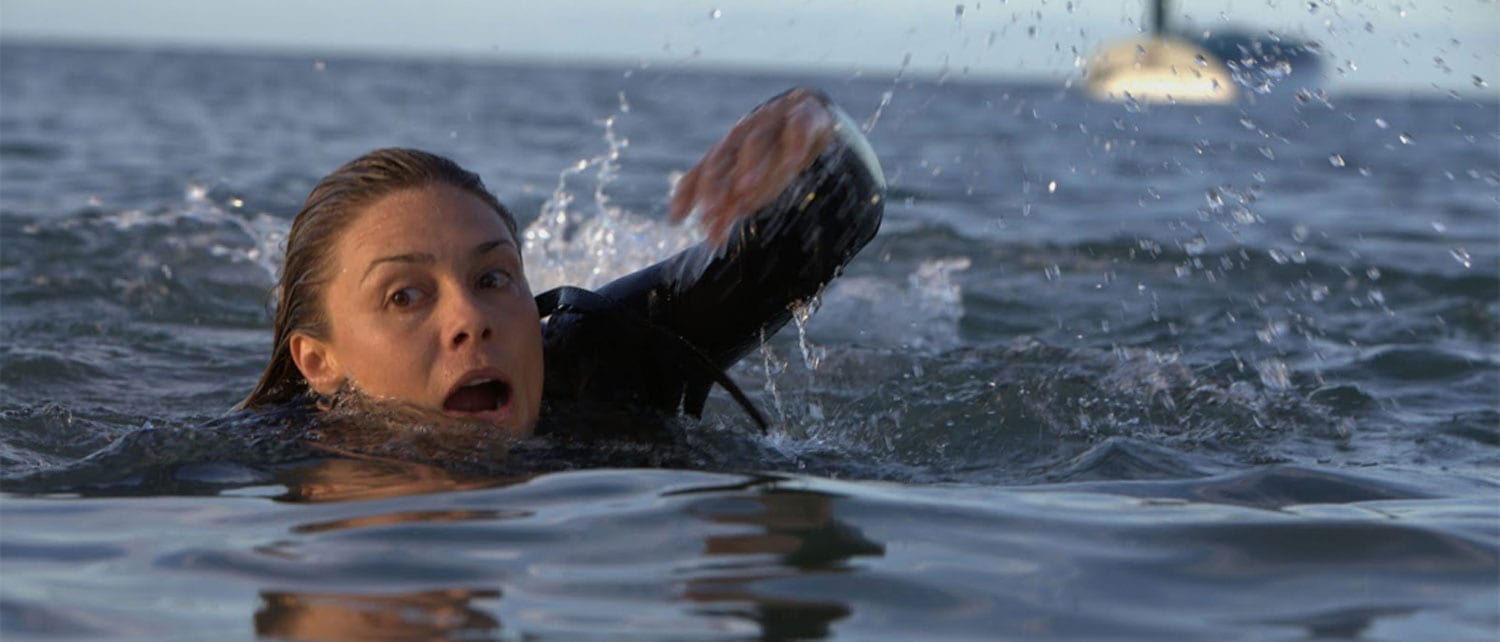 The Best Shark Movies To Watch That Are Not Jaws