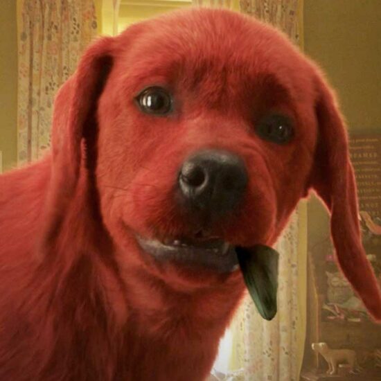 Box Office Update: Clifford: The Big Red Dog Dominates