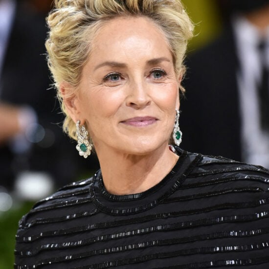 DC’s Blue Beetle Movie Adds Sharon Stone As Villain