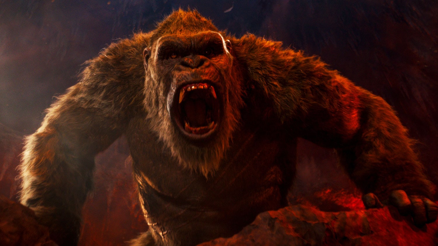 Godzilla-Vs-Kong-Sequel-In-Development