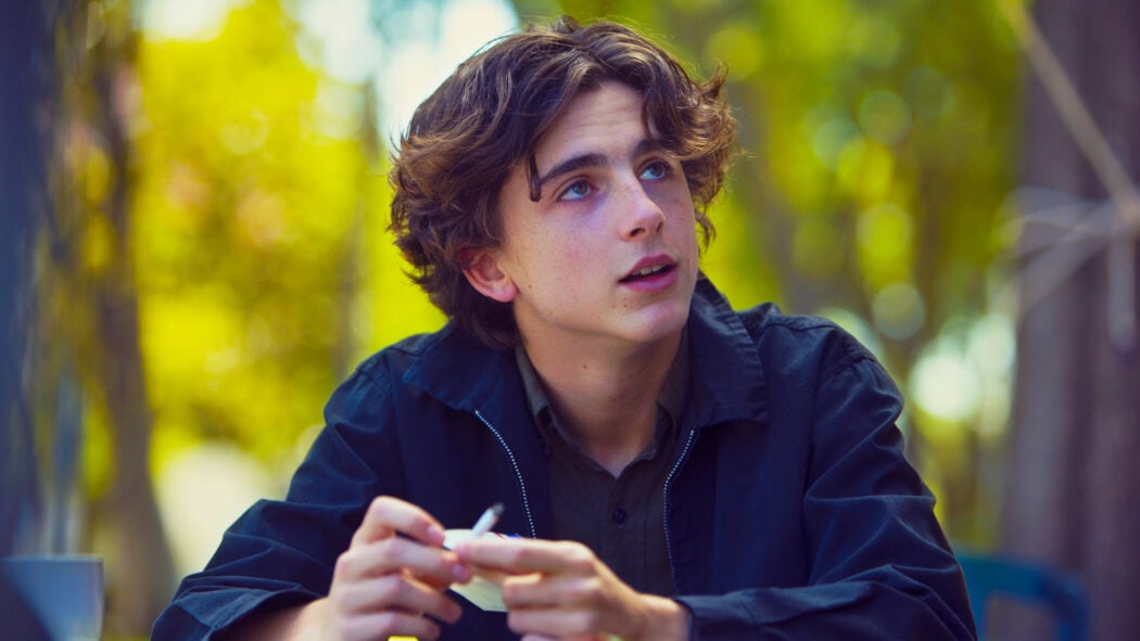 Al-Pacino-Wants-Timothée-Chalamet-To-Play-His-Character-In-A-Heat-Sequel