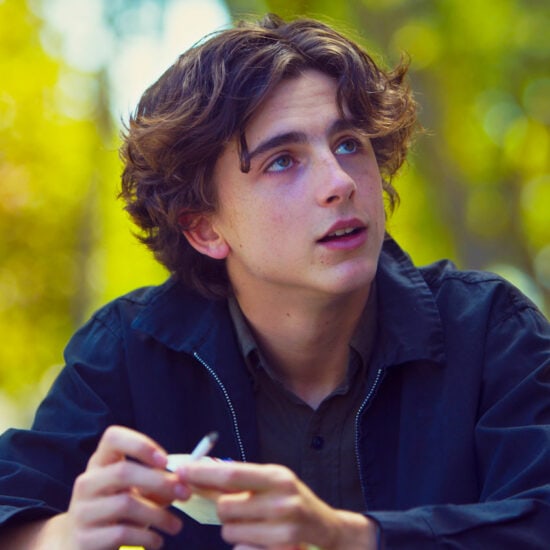 Al Pacino Wants Timothée Chalamet To Play His Character In A Heat Sequel