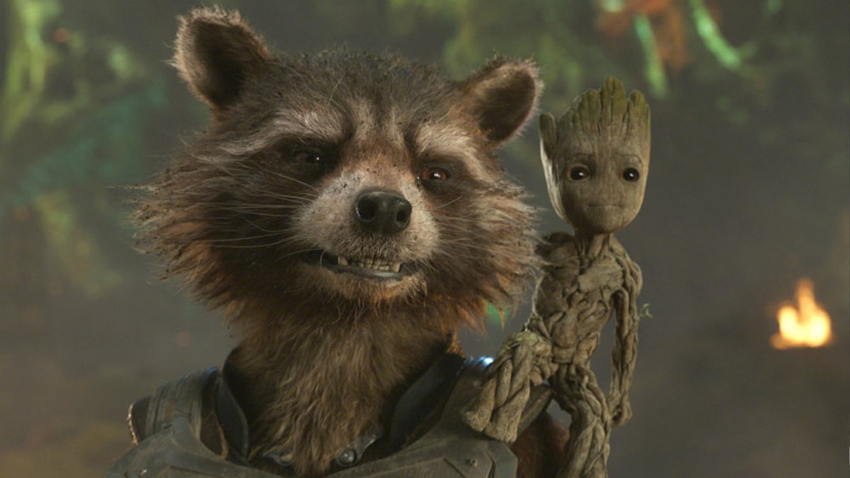GOTG Vol 3 Started Out As A Rocket And Groot Movie