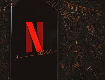 Netflix Removes Its Basic Plan Forcing People To Pay More
