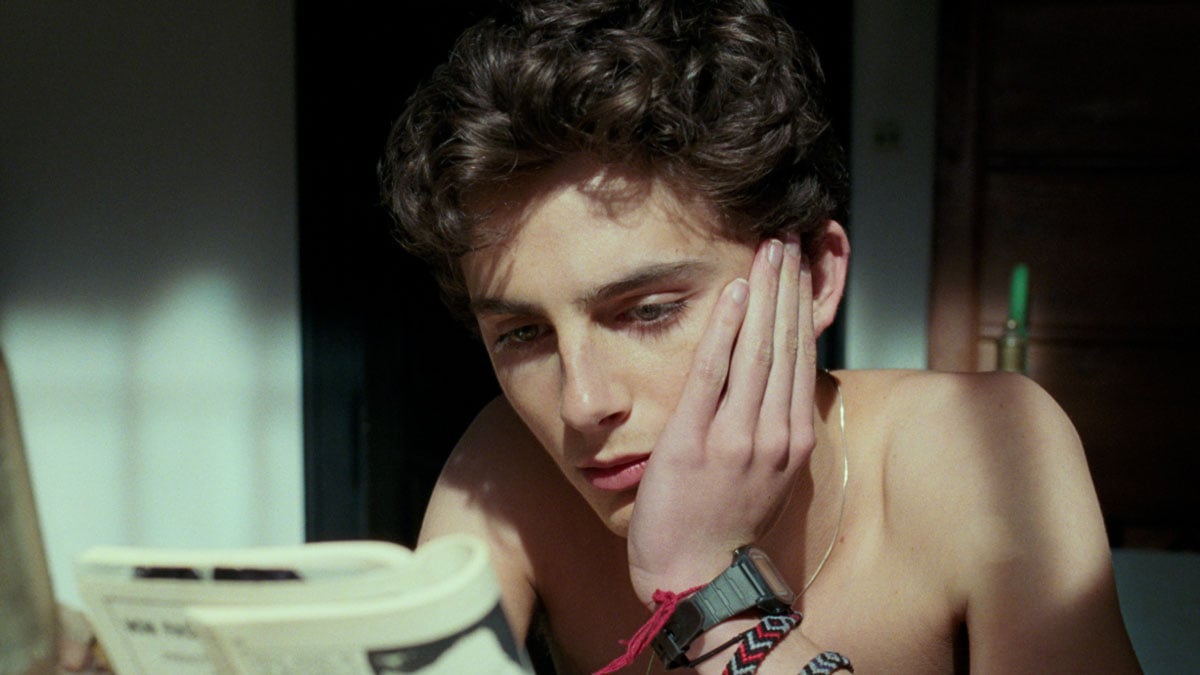 Timothée-Chalamet-Call-Me-By-Your-Name-Barbie-Movie-Cameo